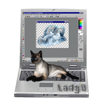 An animated gif of a siamese cat sitting on a keyboard while someone uses an art program.